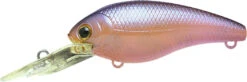 Cheap Baits Store -Cheap Baits Store 13025145847863