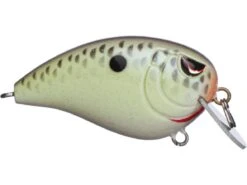 Cheap Baits Store -Cheap Baits Store 32341722660953