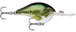 Cheap Baits Store -Cheap Baits Store 39639347036249