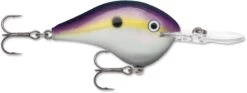 Cheap Baits Store 34 Rapala DT Series Crankbait DT16