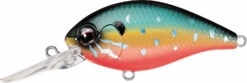 Cheap Baits Store 17 Evergreen International CR-8 Medium Diving Crankbait