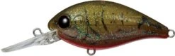 Cheap Baits Store -Cheap Baits Store olive 2Bcrawdad