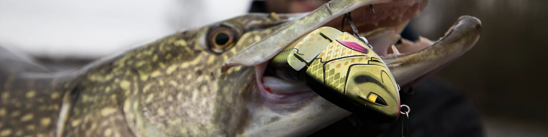 Cheap Baits Store 9 Cheap Baits Store -Cheap Baits Store Berkley hardbaits 1920x700 13d2a608 0e26 44da 98e0 ebc2b160be18